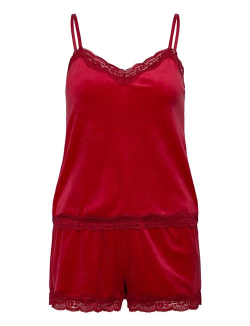 Pj Cami Velours Scallop Lace Hunkemöller Red