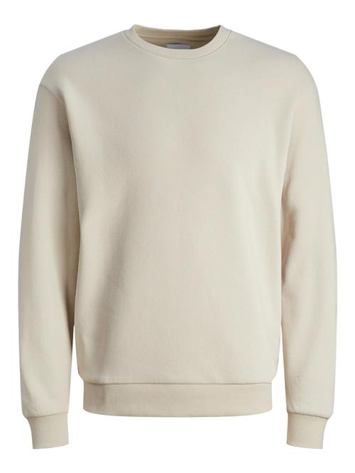 Jack & Jones Junior Sweatshirt 'JJEBradley'  kit