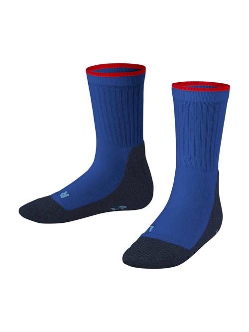 FALKE Sportssokker 'Active Everyday'  blå / navy / rød