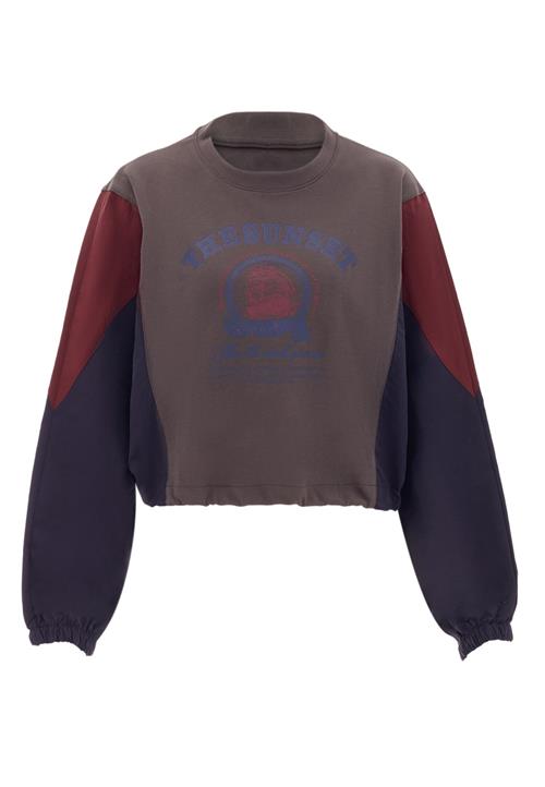 HOMEBASE Sweatshirt  navy / mørkegrå / vinrød