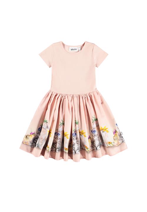 Molo GOTS Cissa Kjole Photobooth  Photobooth 110/116 cm  Lyserød  110/116 cm  kvinde