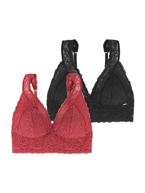 Dorina BH 'LANA'  cranberry / sort