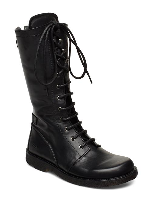 ANGULUS | Boots - Flat - With Laces | 35