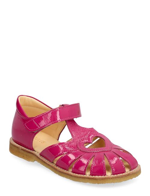 ANGULUS | Sandals - Flat  - Closed Toe | 24