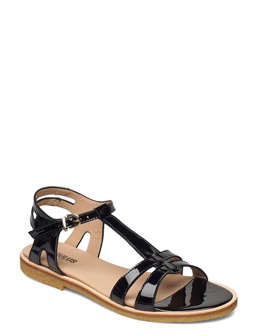 ANGULUS | Sandals - Flat | 38.5