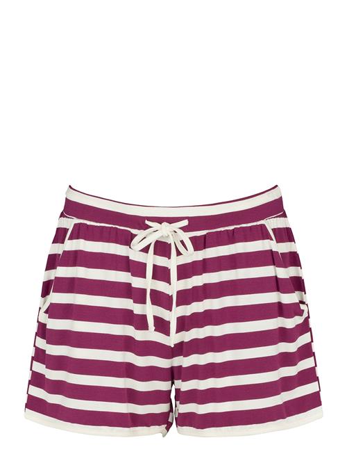 Missya | Softness Shorts | S