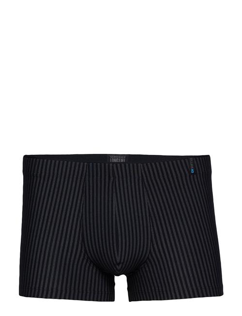 Schiesser | Low Rise Shorts | XXL