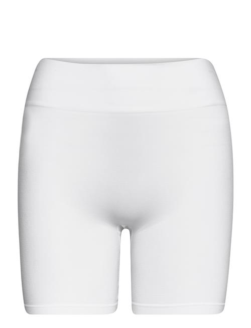 Saint Tropez | T5920, Ninnasz Microfiber Shorts | L/XL