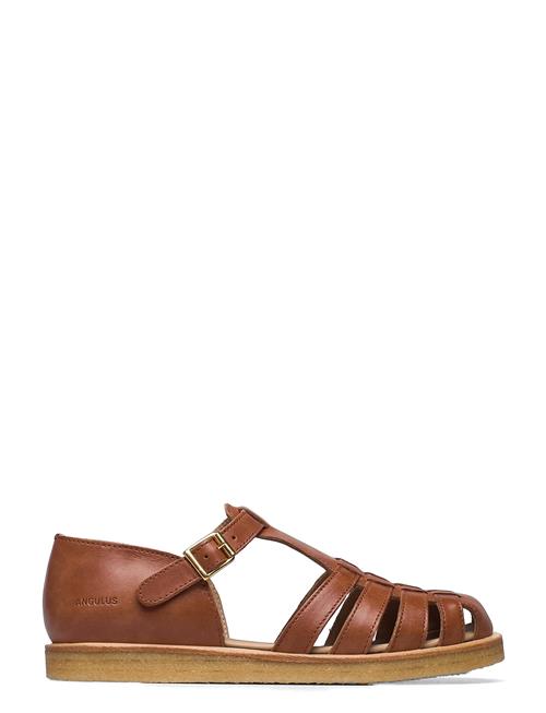 ANGULUS | Sandals - Flat - Closed Toe - Op | 38.5
