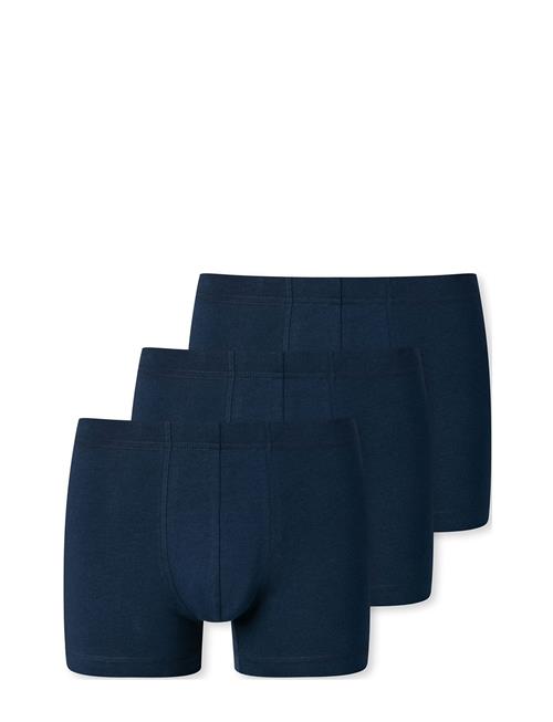 Schiesser | Shorts | XXL