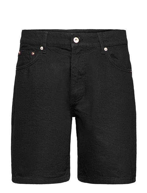 Woodbird | Doc Night Shorts | 27