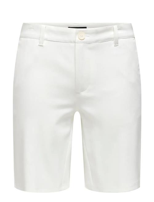 ONLY & SONS | Onsmark Shorts Gw 8667 | XL