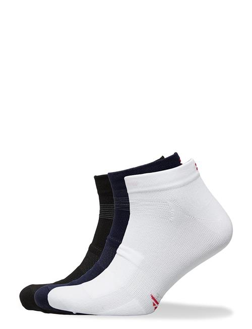 Danish Endurance | Low Cut Cycling Socks 3 Pack | 35-38
