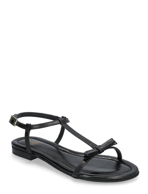 Billi Bi | Sandals A8702 | 39