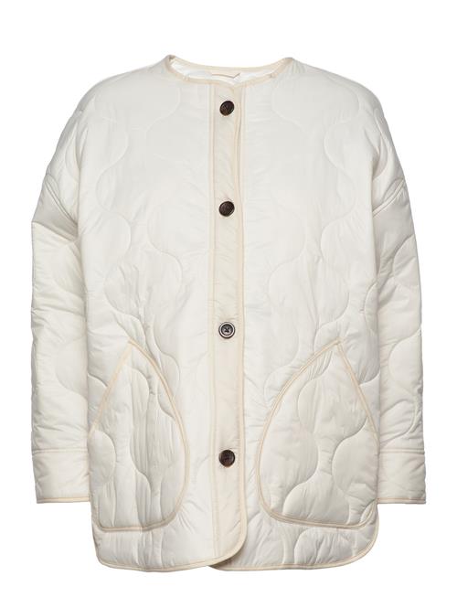 Abercrombie & Fitch | Anf Womens Outerwear | M