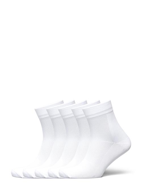 ZEBDIA | 5-Pk Basic Running Socks | 39-42