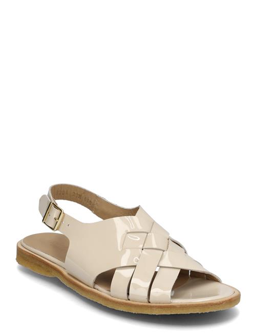 ANGULUS | Sandals - Flat - Open Toe - Op | 40.5