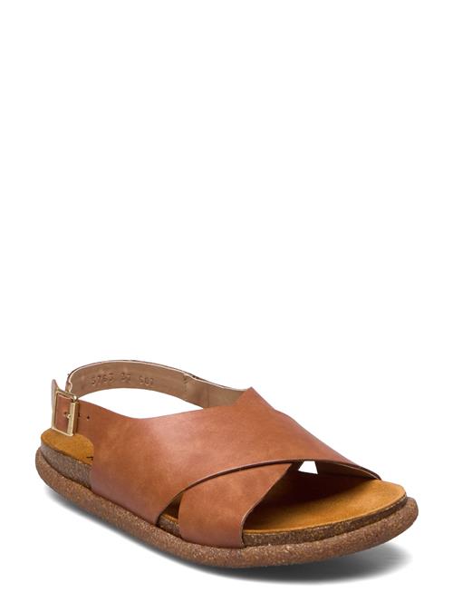 ANGULUS | Sandals - Flat  - Open Toe - Op | 36