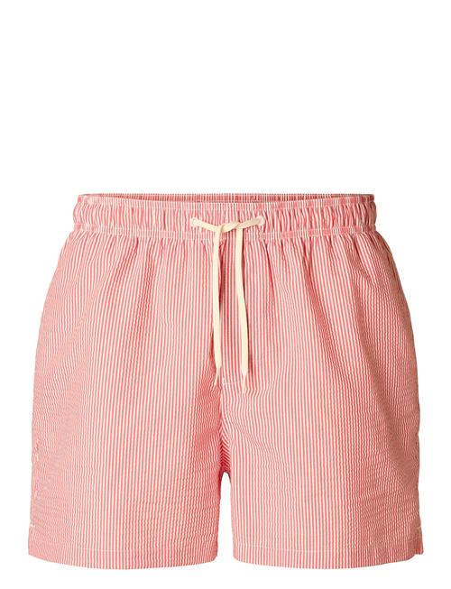 Selected | Slhcooper Seersucker Swimshorts | S