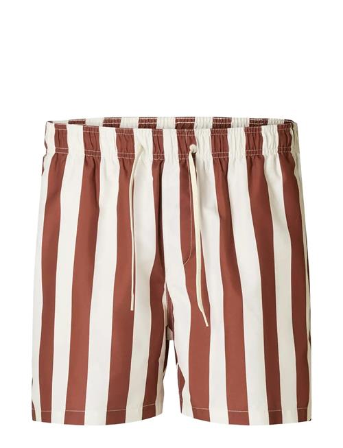 Selected | Slhdane Aop Swimshorts | XXL