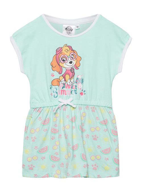 Paw Patrol | Dresses | 104