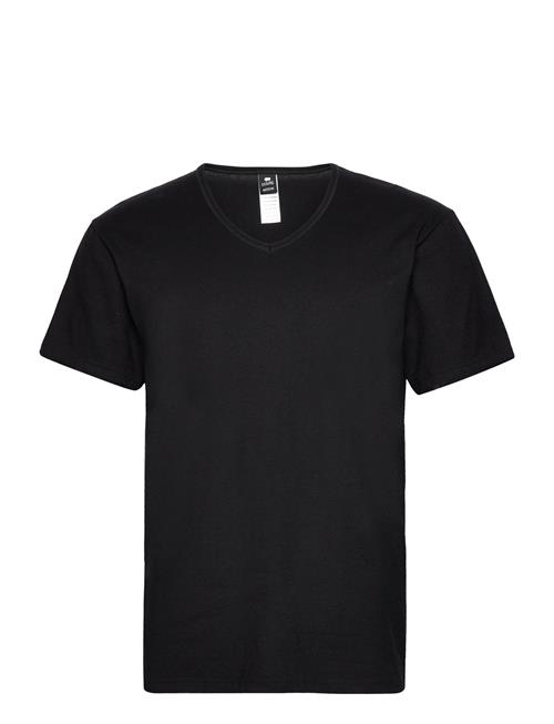 Dovre | Dovre T-Shirts V-Neck Organic | S