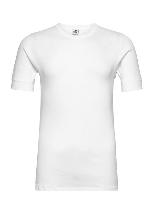 Dovre | Dovre T-Shirts 1/4 Ærme Organi | L