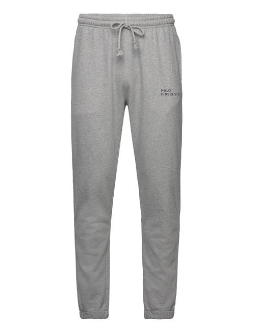 HALO | Halo Essential Sweatpants | XS