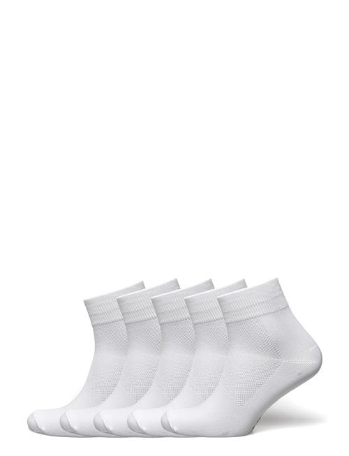 ZEBDIA | 5-Pk Basic Running Socks | 35-38
