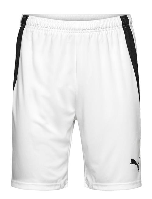 PUMA | Teamliga Shorts | L