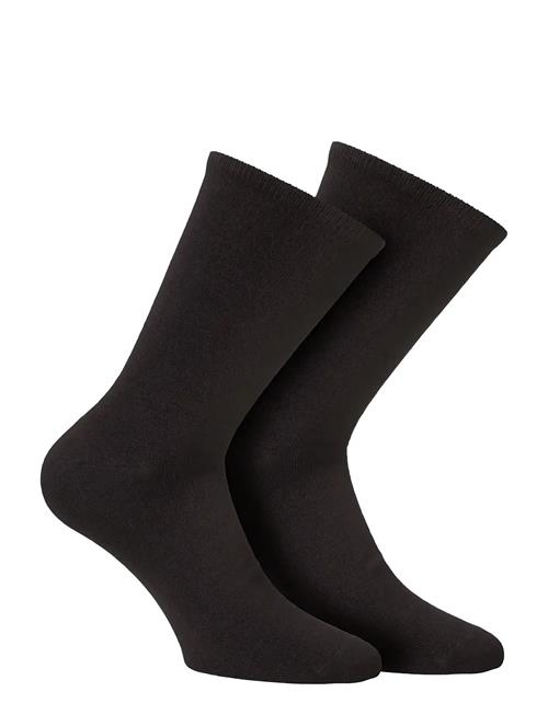 Alpacasocks&Co | Merino Lifestyle 2-Pack | 39-42