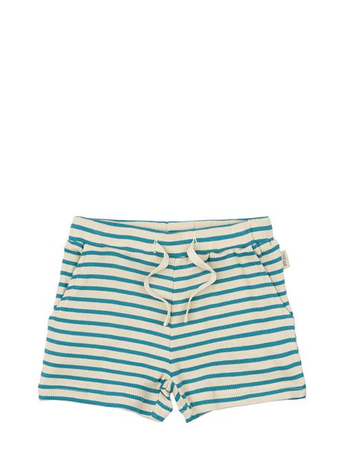 Petit Piao | Shorts Modal Striped | 62