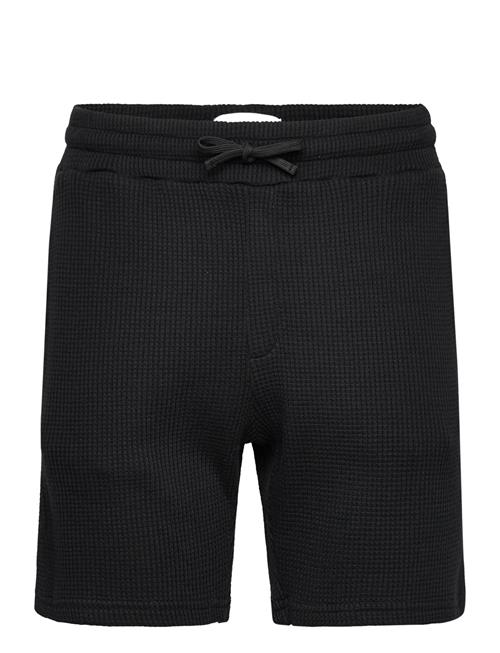 Nikben | Waffle Nero Shorts | XS