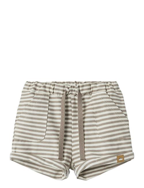 name it | Nbmfillo Shorts | 50