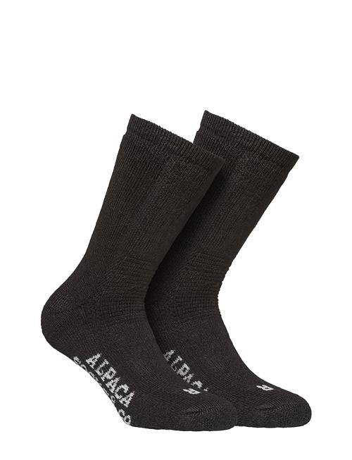 Alpacasocks&Co | Alpacasocks 2-Pack | 39-42