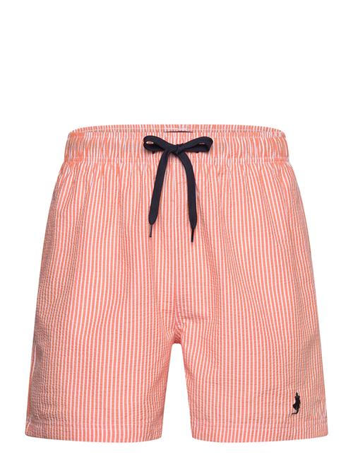 MCS | Mcs Swimshorts Irving Men | XXL