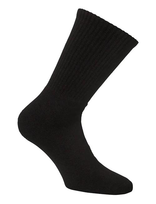 Alpacasocks&Co | Merino Casual 2-Pack | 39-42