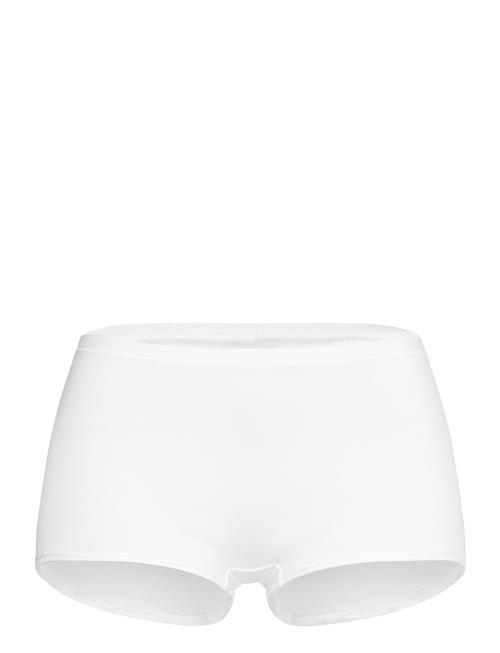 Calida | Natural Comfort Pants | S