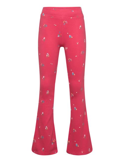 The New | Tnliv Flared Rib Pants | 170-176