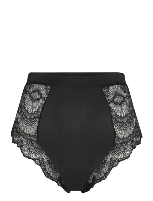 Understatement Underwear | Lace Period Highwaist Briefs | XXL