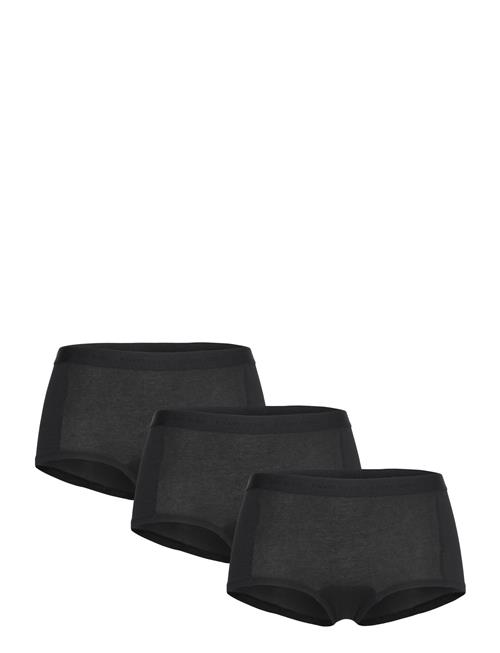 Björn Borg | Everyday Cotton Boxer Shorts 3P | L