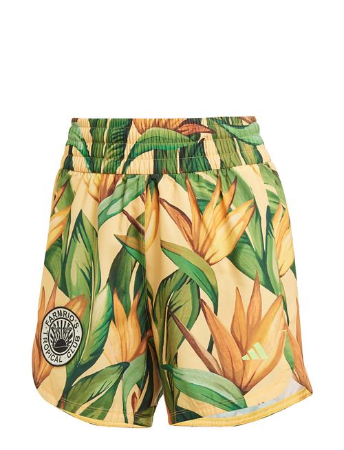 adidas Performance | Farm Shorts | M