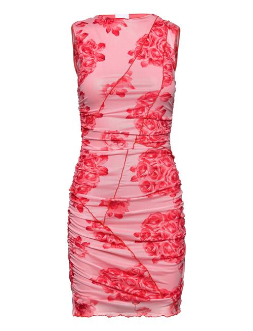 Noella | Sutton Short Dress | XL