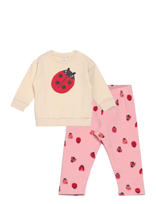 Lindex | Set Sweatshirt Leggings Spring | 74