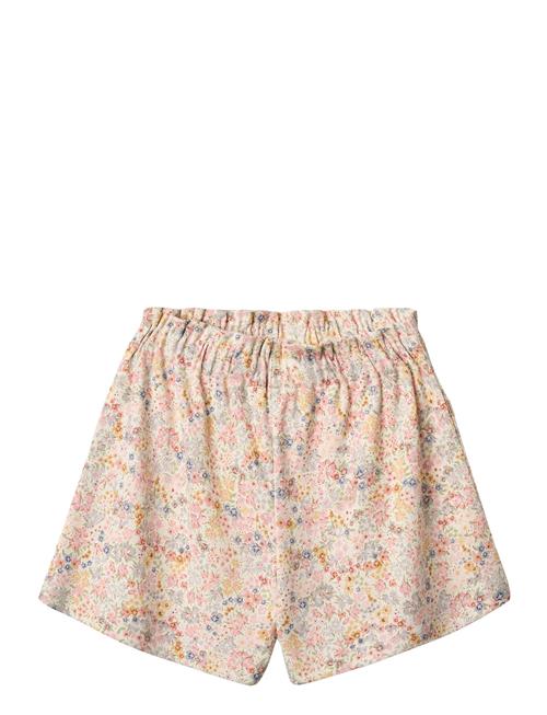 Wheat | Shorts Sandy | 104