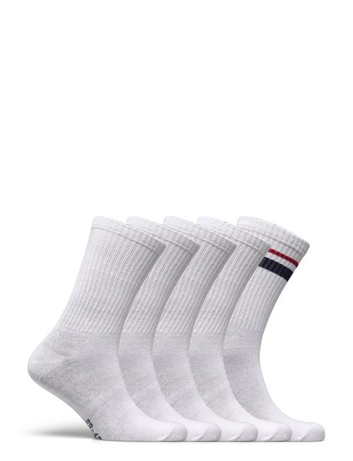 U.S. Polo Assn. | Bo 6 Pk Socks Uspa M Acc | 43-46