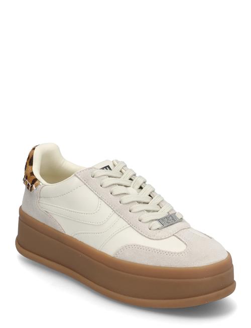 Steve Madden | Off-Track Sneakers | 41