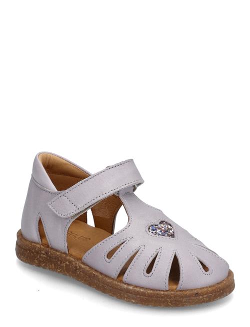 ANGULUS | Sandals - Flat  - Closed Toe | 20