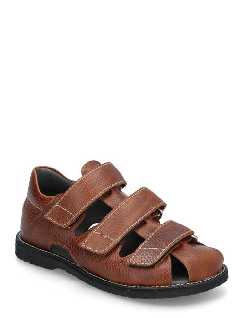 ANGULUS | Sandals - Flat  - Closed Toe | 28