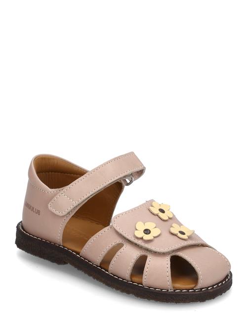 ANGULUS | Sandals - Flat  - Closed Toe | 22